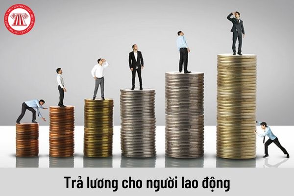 Người sử dụng lao động sẽ dựa trên những căn cứ nào để trả tiền lương cho người lao động?