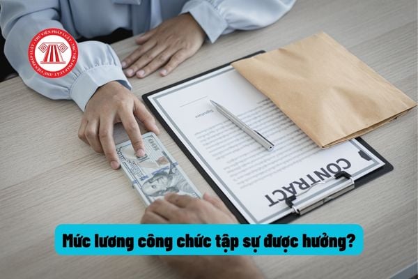 Người tập sự công chức sẽ được hưởng mức lương bao nhiêu trong thời gian tập sự công chức?