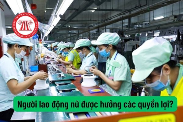 Người lao động nữ được hưởng thêm chế độ, quyền lợi gì so với quy định trước đó?