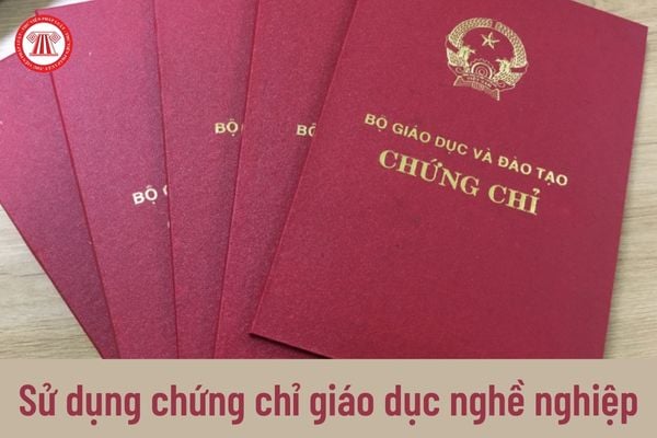 Sử dụng chứng chỉ giáo dục nghề nghiệp bị tẩy xóa thì người sử dụng bị xử phạt như thế nào?