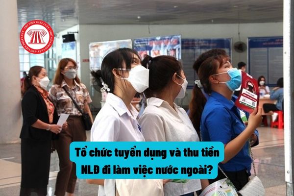 Tổ chức tuyển chọn và thu tiền của người lao động Việt Nam đi làm việc ở nước ngoài bị xử phạt như thế nào?