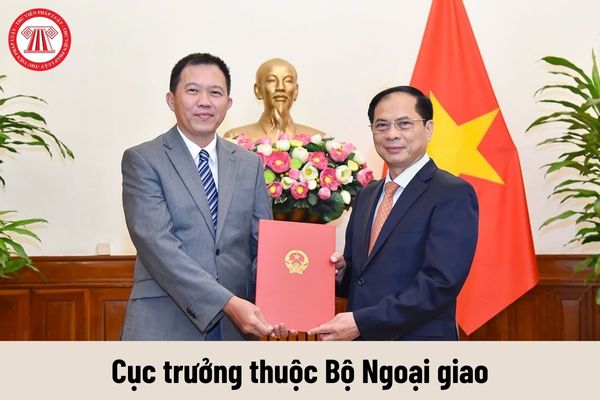 Giữ chức vụ Cục trưởng thuộc Bộ Ngoại giao thì được nhận mức phụ cấp chức vụ lãnh đạo là bao nhiêu?