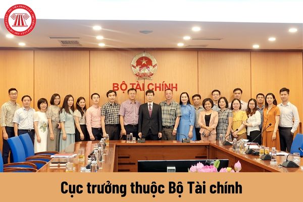 Cục trưởng thuộc Bộ Tài chính được nhận mức phụ cấp chức vụ lãnh đạo là bao nhiêu?