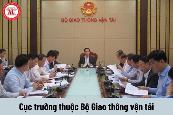 Cục trưởng thuộc Bộ Giao thông vận tải được nhận mức phụ cấp chức vụ lãnh đạo là bao nhiêu?