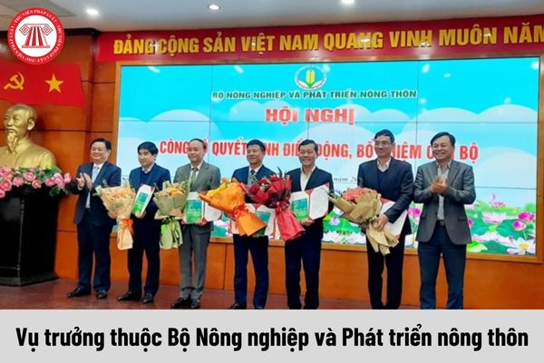 Vụ trưởng thuộc Bộ Nông nghiệp và Phát triển nông thôn được nhận mức phụ cấp chức vụ lãnh đạo là bao nhiêu?