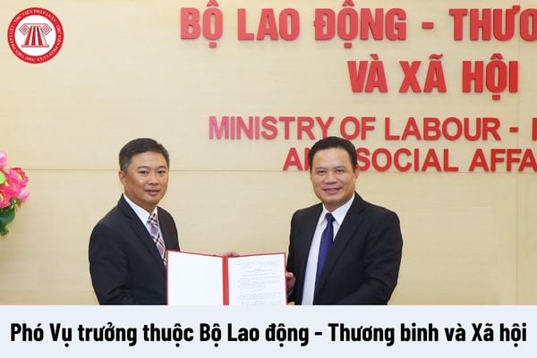 Phó Vụ trưởng thuộc Bộ Lao động - Thương binh và Xã hội được nhận mức phụ cấp chức vụ lãnh đạo là bao nhiêu?