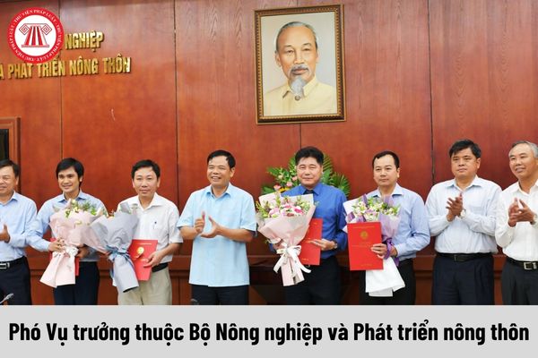 Phó Vụ trưởng thuộc Bộ Nông nghiệp và Phát triển nông thôn được nhận mức phụ cấp chức vụ lãnh đạo là bao nhiêu?