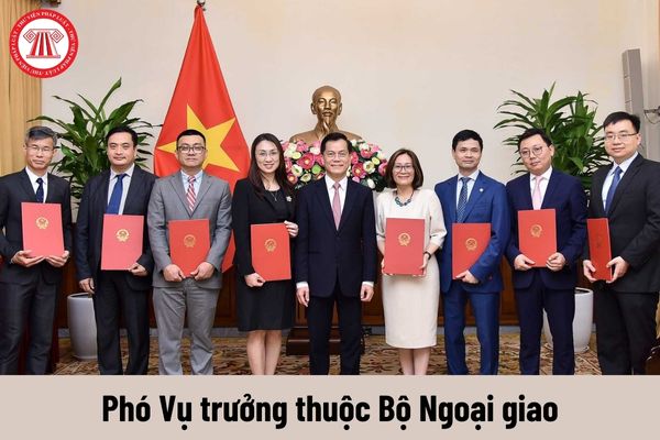 Giữ chức Phó Vụ trưởng thuộc Bộ Ngoại giao thì được nhận mức phụ cấp chức vụ lãnh đạo bao nhiêu?