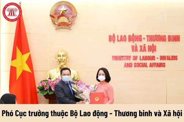 Phó Cục trưởng thuộc Bộ Lao động - Thương binh và Xã hội được nhận mức phụ cấp chức vụ lãnh đạo là bao nhiêu?