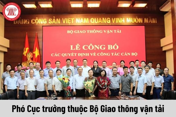 Giữ chức Phó Cục trưởng thuộc Bộ Giao thông vận tải thì được nhận mức phụ cấp chức vụ lãnh đạo bao nhiêu?