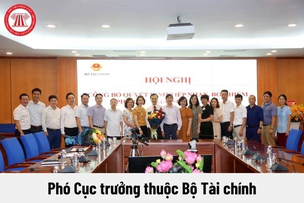 Phó Cục trưởng thuộc Bộ Tài chính được nhận mức phụ cấp chức vụ lãnh đạo là bao nhiêu?