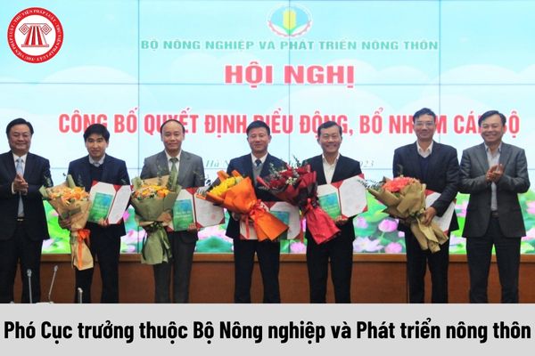 Phó Cục trưởng thuộc Bộ Nông nghiệp và Phát triển nông thôn được nhận mức phụ cấp chức vụ lãnh đạo là bao nhiêu?