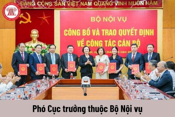 Giữ chức Phó Cục trưởng thuộc Bộ Nội vụ thì được nhận mức phụ cấp chức vụ lãnh đạo bao nhiêu?