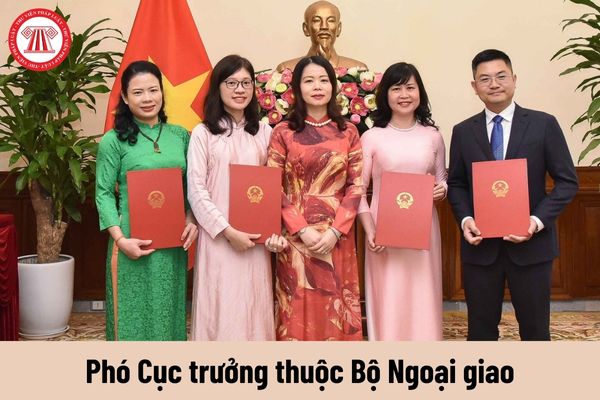 Mức phụ cấp chức vụ lãnh đạo của Phó Cục trưởng thuộc Bộ Ngoại giao được nhận là bao nhiêu?