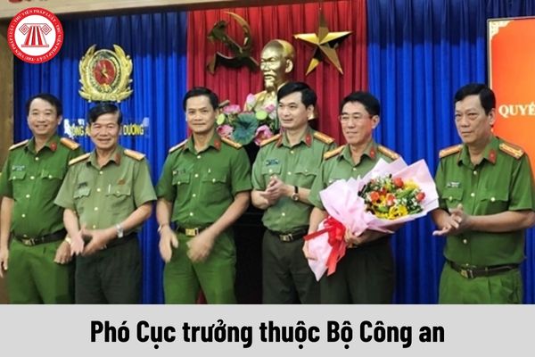 Phó Cục trưởng thuộc Bộ Công an được nhận mức phụ cấp chức vụ lãnh đạo là bao nhiêu?