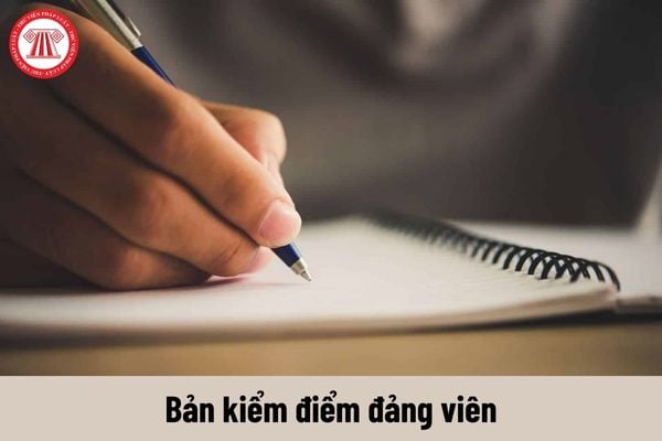 Tải và hướng dẫn viết mẫu bản kiểm điểm đảng viên của viên chức chức danh nghề nghiệp dược năm 2024?