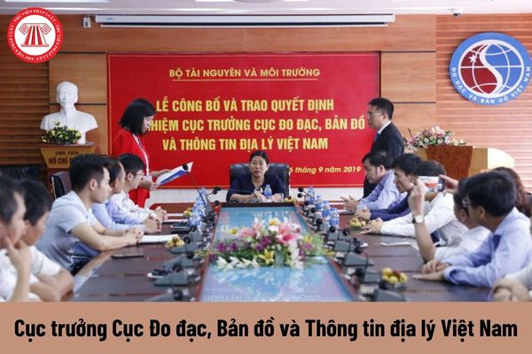 Cục trưởng Cục Đo đạc, Bản đồ và Thông tin địa lý Việt Nam được nhận mức phụ cấp chức vụ lãnh đạo là bao nhiêu?