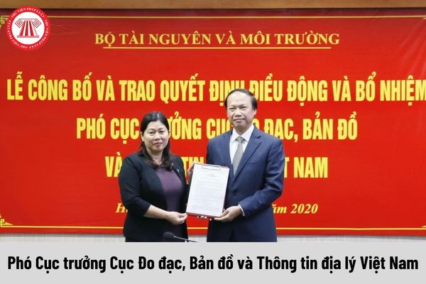 Giữ chức Phó Cục trưởng Cục Đo đạc, Bản đồ và Thông tin địa lý Việt Nam thì được nhận mức phụ cấp chức vụ lãnh đạo bao nhiêu?