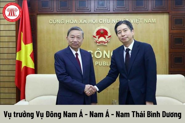 Vụ trưởng Vụ Đông Nam Á - Nam Á - Nam Thái Bình Dương được nhận mức phụ cấp chức vụ lãnh đạo là bao nhiêu?