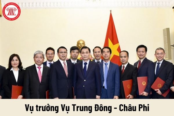 Mức phụ cấp chức vụ lãnh đạo của Vụ trưởng Vụ Trung Đông - Châu Phi được nhận là bao nhiêu?