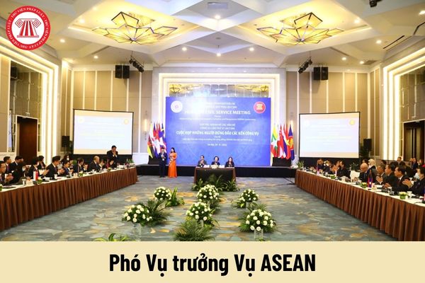 Mức phụ cấp chức vụ lãnh đạo của Phó Vụ trưởng Vụ ASEAN được nhận là bao nhiêu?