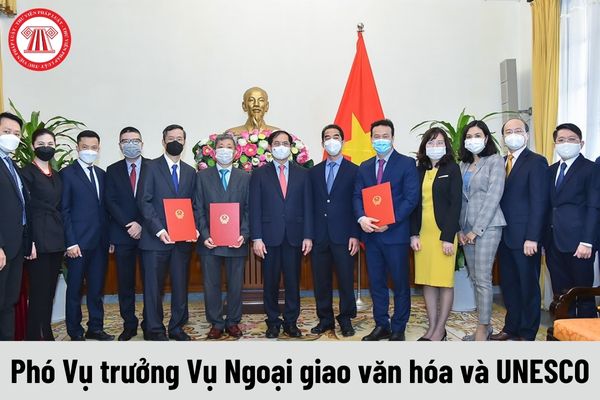 Mức phụ cấp chức vụ lãnh đạo của Phó Vụ trưởng Vụ Ngoại giao văn hóa và UNESCO được nhận là bao nhiêu?