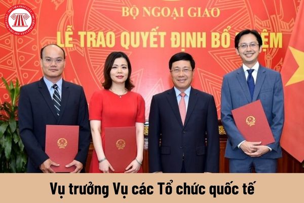 Mức phụ cấp chức vụ lãnh đạo của Vụ trưởng Vụ các Tổ chức quốc tế được nhận là bao nhiêu?