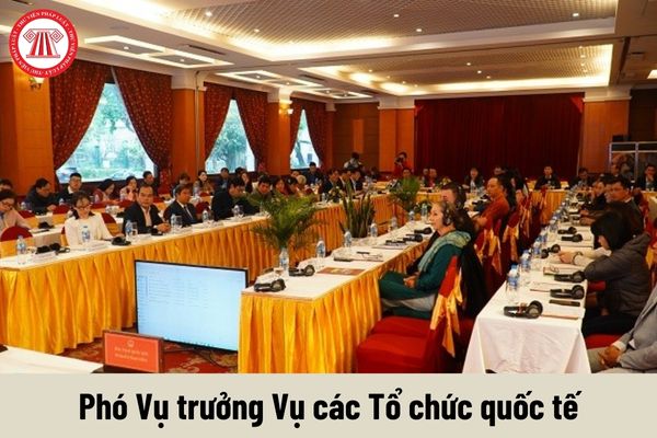 Phó Vụ trưởng Vụ các Tổ chức quốc tế được nhận mức phụ cấp chức vụ lãnh đạo là bao nhiêu?