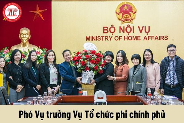 Mức phụ cấp chức vụ lãnh đạo của Phó Vụ trưởng Vụ Tổ chức phi chính phủ được nhận là bao nhiêu?