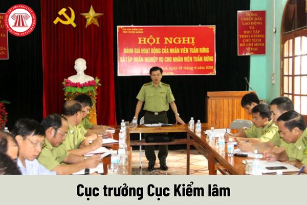 Cục trưởng Cục Kiểm lâm được nhận mức phụ cấp chức vụ lãnh đạo là bao nhiêu?