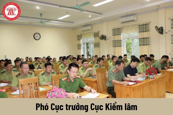 Mức phụ cấp chức vụ lãnh đạo của Phó Cục trưởng Cục Kiểm lâm được nhận là bao nhiêu?