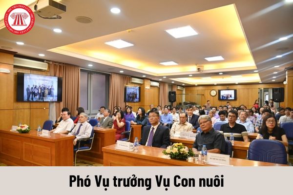 Mức phụ cấp chức vụ lãnh đạo của Phó Vụ trưởng Vụ Con nuôi được nhận là bao nhiêu?