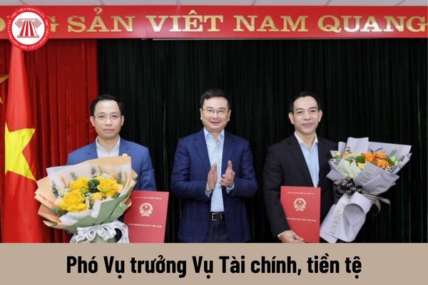 Phó Vụ trưởng Vụ Tài chính, tiền tệ được nhận mức phụ cấp chức vụ lãnh đạo là bao nhiêu?