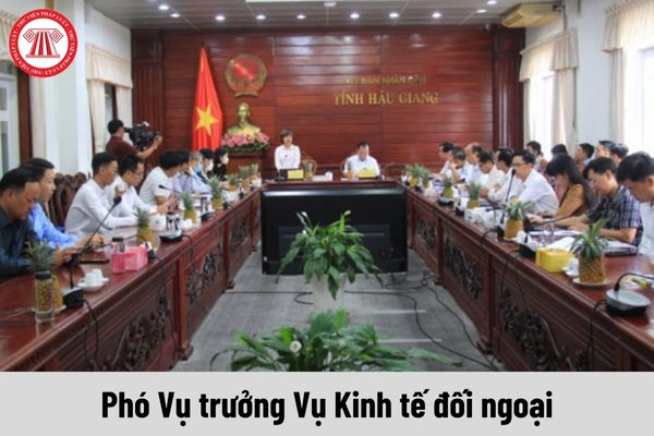 Mức phụ cấp chức vụ lãnh đạo của Phó Vụ trưởng Vụ Kinh tế đối ngoại được nhận là bao nhiêu?