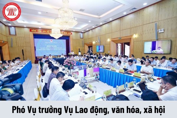 Phó Vụ trưởng Vụ Lao động, văn hóa, xã hội được nhận mức phụ cấp chức vụ lãnh đạo là bao nhiêu?