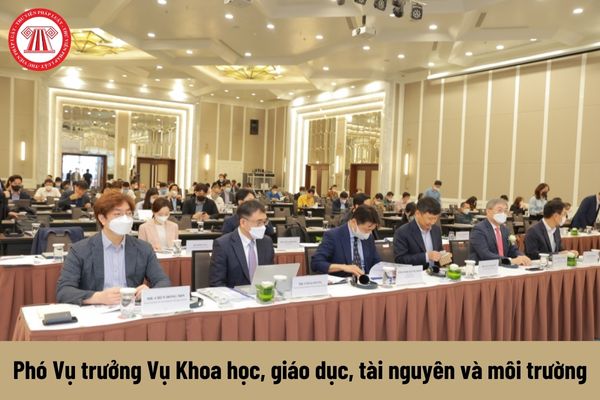 Mức phụ cấp chức vụ lãnh đạo của Phó Vụ trưởng Vụ Khoa học, giáo dục, tài nguyên và môi trường được nhận là bao nhiêu?