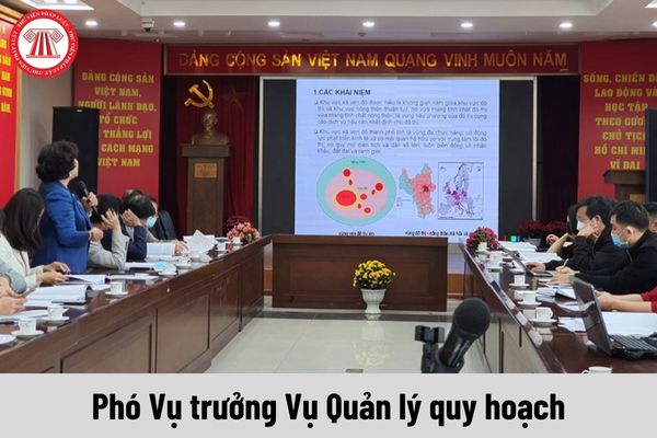 Phó Vụ trưởng Vụ Quản lý quy hoạch được nhận mức phụ cấp chức vụ lãnh đạo là bao nhiêu?