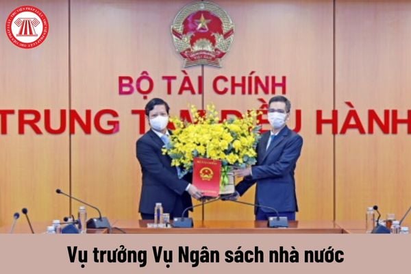 Mức phụ cấp chức vụ lãnh đạo của Vụ trưởng Vụ Ngân sách nhà nước được nhận là bao nhiêu?