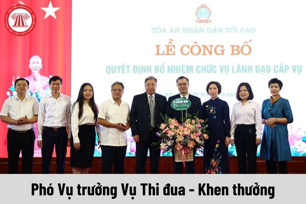 Mức phụ cấp chức vụ lãnh đạo của Phó Vụ trưởng Vụ Thi đua - Khen thưởng được nhận là bao nhiêu?