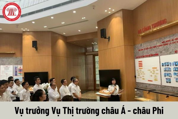 Mức phụ cấp chức vụ lãnh đạo của Vụ trưởng Vụ Thị trường châu Á - châu Phi được nhận là bao nhiêu?