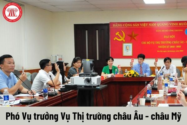 Mức phụ cấp chức vụ lãnh đạo của Phó Vụ trưởng Vụ Thị trường châu Âu - châu Mỹ được nhận là bao nhiêu?