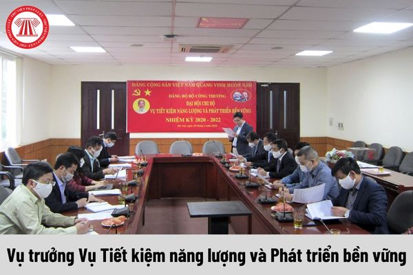 Vụ trưởng Vụ Tiết kiệm năng lượng và Phát triển bền vững được nhận mức phụ cấp chức vụ lãnh đạo là bao nhiêu?