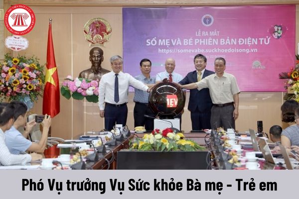 Mức phụ cấp chức vụ lãnh đạo của Phó Vụ trưởng Vụ Sức khỏe Bà mẹ - Trẻ em được nhận là bao nhiêu?