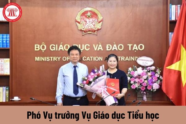 Mức phụ cấp chức vụ lãnh đạo của Phó Vụ trưởng Vụ Giáo dục Tiểu học được nhận là bao nhiêu?