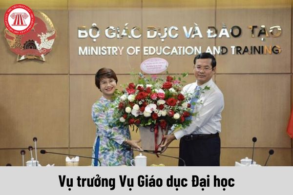 Vụ trưởng Vụ Giáo dục Đại học được nhận mức phụ cấp chức vụ lãnh đạo là bao nhiêu?