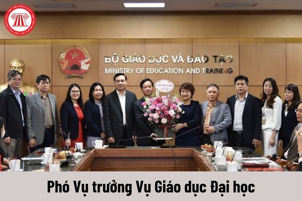 Mức phụ cấp chức vụ lãnh đạo của Phó Vụ trưởng Vụ Giáo dục Đại học được nhận là bao nhiêu?