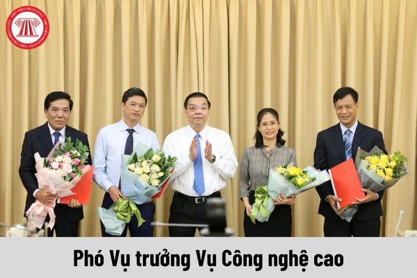 Phó Vụ trưởng Vụ Công nghệ cao được nhận mức phụ cấp chức vụ lãnh đạo là bao nhiêu?