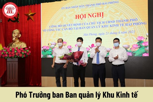 Phó Trưởng ban Ban quản lý Khu Kinh tế phải đáp ứng yêu cầu về trình độ như thế nào?