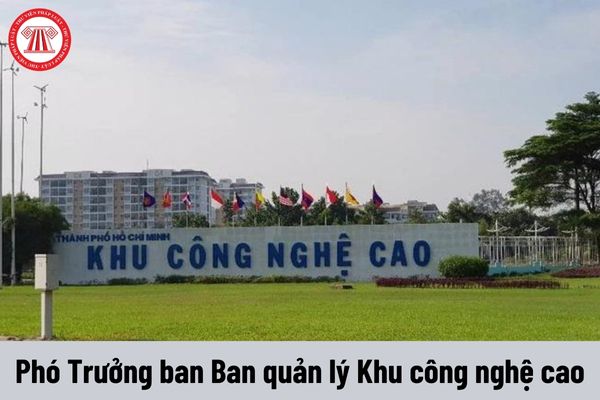 Phó Trưởng ban Ban quản lý Khu công nghệ cao phải đáp ứng yêu cầu về năng lực như thế nào?