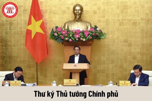 Thư ký Thủ tướng Chính phủ phải đáp ứng yêu cầu về năng lực như thế nào?